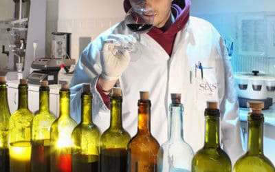 Wine Rating – Sensi 2015 Vegante (Chianti)